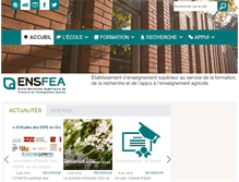 Tablet Screenshot of enfa.fr
